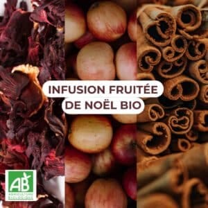 INFUSION FRUITÉE DE NOËL – infusion bio