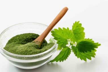 Poudre d’ortie bio : bienfaits, utilisation et recettes pour découvrir cette plante autrement