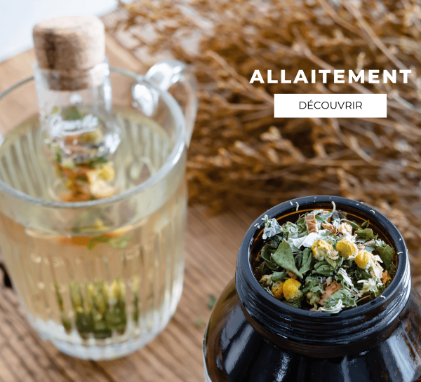 allaitement menu